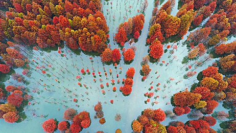 天堂√ 最新中文在线：沉浸式幻境，畅游中文游戏新天地-5