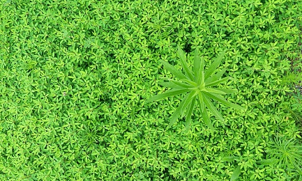 里番本子侵犯肉全彩A片电车痴汉：成人幻境探秘：禁忌与欲望的里番文化解析之旅-5