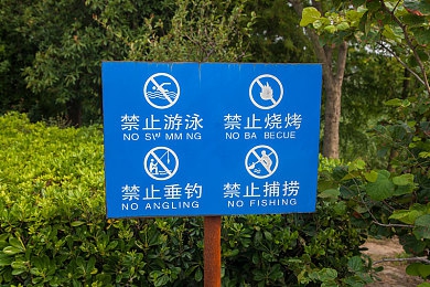 美红在车厢被四个人伦：穿越时空的抉择：美红与四重人格的传奇邂逅-2
