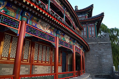 巨大根茎女同扶她动漫：奇幻茎语，情感共鸣之旅-3
