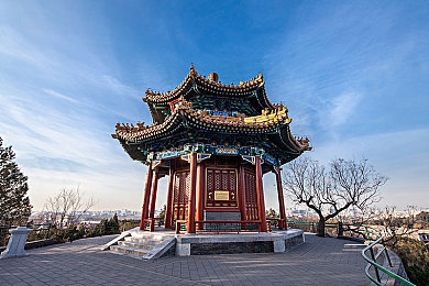 日批动态图：数字化浪潮中，日批动态图革新视觉体验，引爆传播新风尚-3