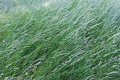 芒果视频回家导航：春节出行不再难，芒果视频“温暖导航”助你一路顺风-3