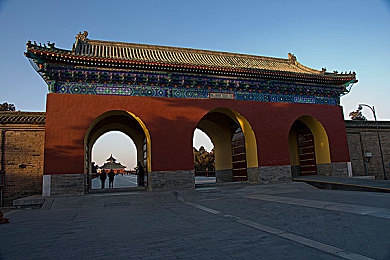 左爱视频：短视频新潮流，创意内容领跑者，体验至上，引领潮流新势力-5