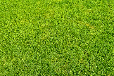 路人娘牧场汉化版免费下载安装：田园风情，像素绘卷：探索牧场乐园，共赴休闲模拟之旅-5