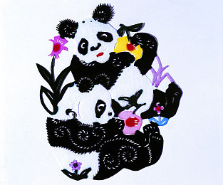 强奸处女校花：揭开青春阴影：揭开校园暴力真相，守护青春净土-5
