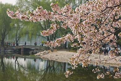 珍妮动画官网：动画乐园探秘，欢乐光影汇聚之地-4